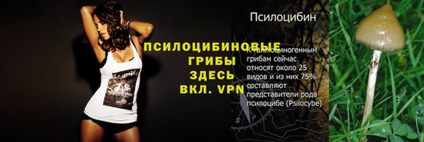 трава Арсеньев