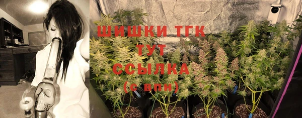 ГАЛЛЮЦИНОГЕННЫЕ ГРИБЫ Баксан