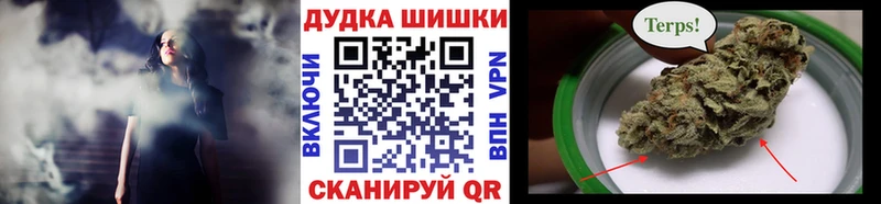 Канабис сатива Петропавловск-Камчатский